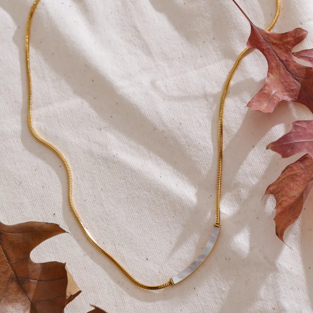 Colar Barra de Concha Natural